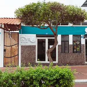 https://hotel-ayre-by-baltra.puertoayorahotels.com